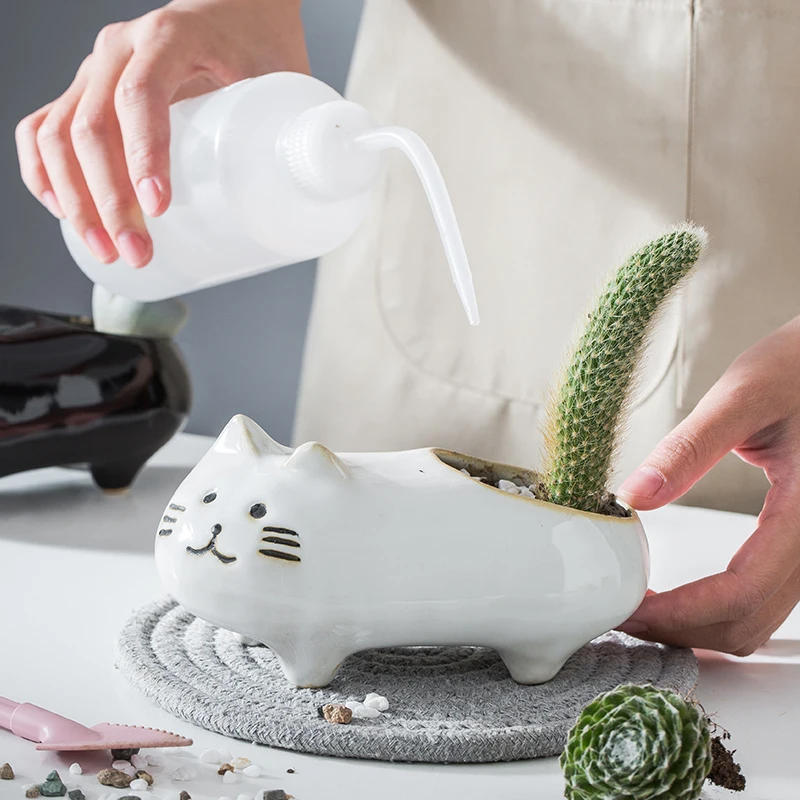 Cute Cat Tail Flowerpot Ceramic Personalized Creative Cactus Meat Simple Decoration Desktop Cartoon Animal Home Accessories
Cute Cat Tail Flowerpot Ceramic Personalized Creative Cactus Meat Simple Decoration Desktop Cartoon Animal Home Accessories