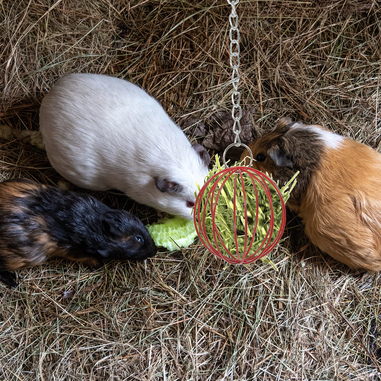 2 Pcs Rabbit Hay Feeder Ball Hanging Design Pet Cage Grass Feeder Iron Material Bunny Feeders Reusable Storage Feeding
2 Pcs Rabbit Hay Feeder Ball Hanging Design Pet Cage Grass Feeder Iron Material Bunny Feeders Reusable Storage Feeding