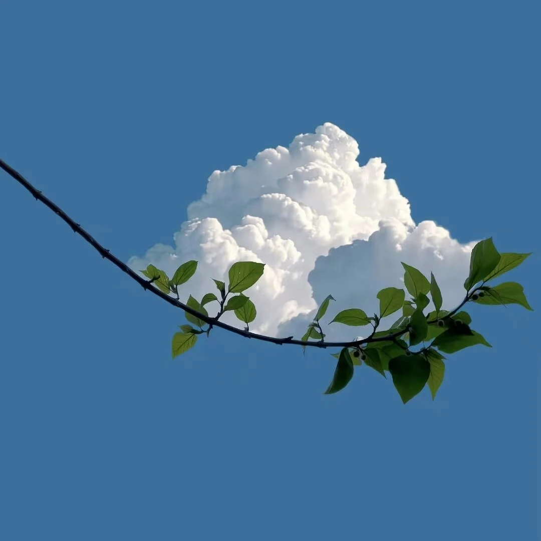 MYOSLIM вертикальный электромагнитный тренажер для мышц, неинвазивный аппарат EMS для подтяжки ягодиц, коррекции фигуры, удаления жира
MYOSLIM вертикальный электромагнитный тренажер для мышц, неинвазивный аппарат EMS для подтяжки ягодиц, коррекции фигуры, удаления жира