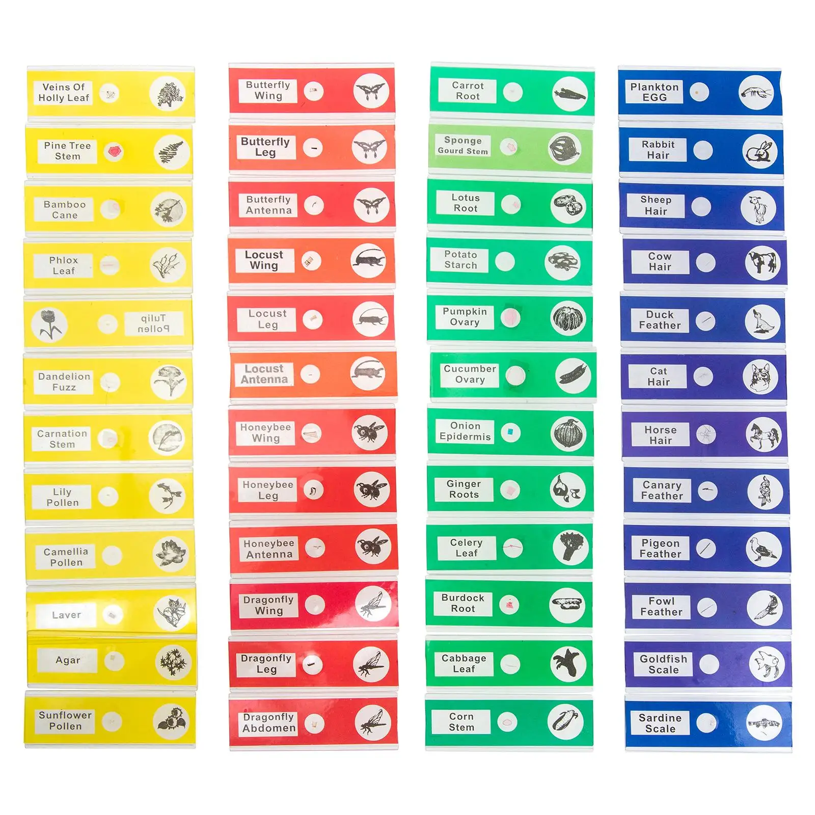 48 Pcs Biological Specimen Slice Kids Slides Microscope Assorted Collection Abs Plastic Insects Sample Student
48 Pcs Biological Specimen Slice Kids Slides Microscope Assorted Collection Abs Plastic Insects Sample Student