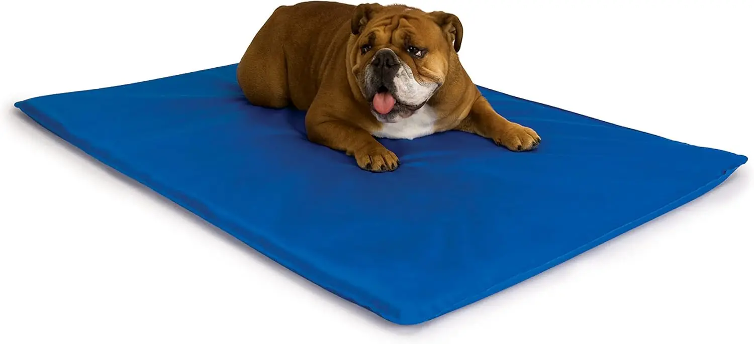 Охлаждающий коврик для собак Cool Bed I Dog, охлаждающие кровати для средних собак на открытом воздухе, охлаждающий коврик для домашних животных, уличные домики, ящики,
Охлаждающий коврик для собак Cool Bed I Dog, охлаждающие кровати для средних собак на открытом воздухе, охлаждающий коврик для домашних животных, уличные домики, ящики,