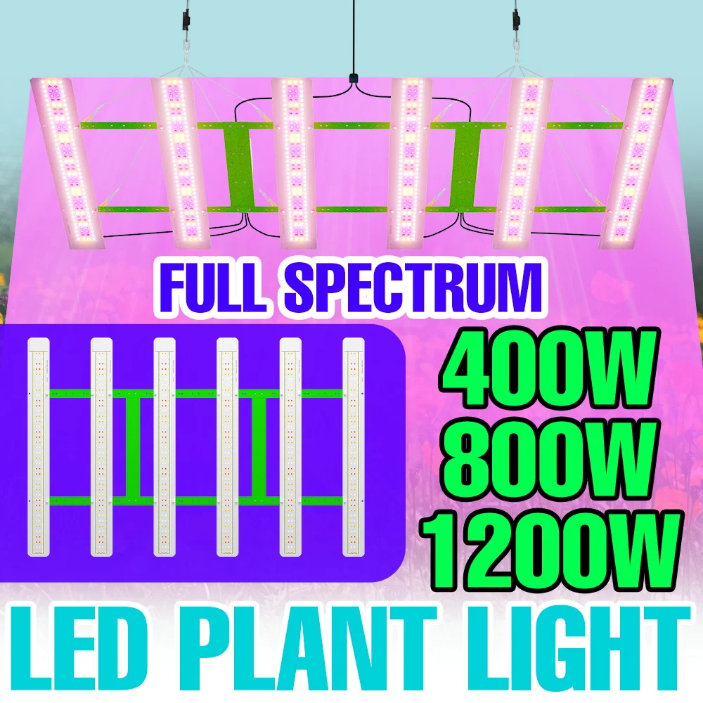 1200W LED Plant Grow Light Full Spectrum 220V Quantum Board Seedings Cultivation Lamp Greenhouse Tent Fruit Vegs Fill Lighting
1200W LED Plant Grow Light Full Spectrum 220V Quantum Board Seedings Cultivation Lamp Greenhouse Tent Fruit Vegs Fill Lighting