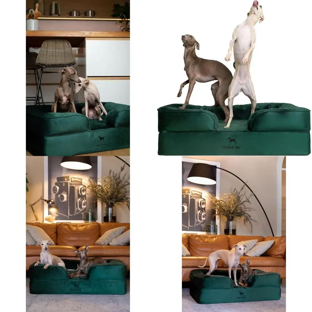 Orthopedic Gel-Infused Memory Foam Dog Bed, 35x25x11 Inches, Waterproof & Machine Washable
Orthopedic Gel-Infused Memory Foam Dog Bed, 35x25x11 Inches, Waterproof & Machine Washable