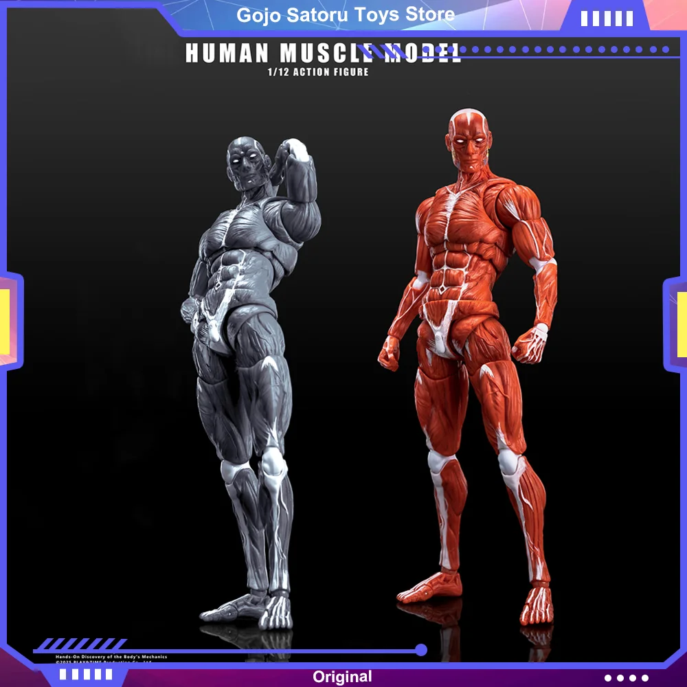 Wan Chao 1/12 Human Muscle Model Action Figure 6Inch Red Grey Male Soldier Flexible Body Anime Figurine Joint Movable Model 
Wan Chao 1/12 Human Muscle Model Action Figure 6Inch Red Grey Male Soldier Flexible Body Anime Figurine Joint Movable Model