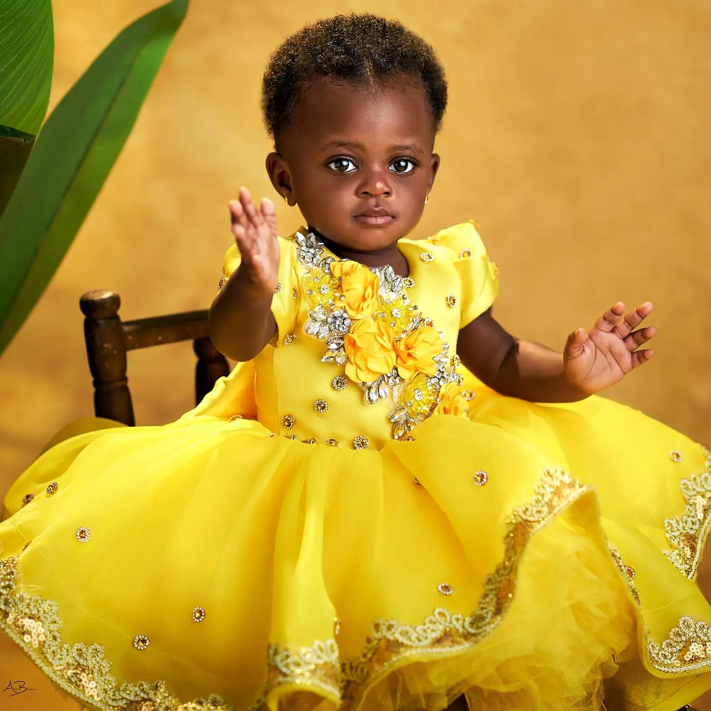 Luxury Beading Flower Girl Dresses Customized Yellow Little Kids Ball Gown Crystals Baby First Birthday Party Dress
Luxury Beading Flower Girl Dresses Customized Yellow Little Kids Ball Gown Crystals Baby First Birthday Party Dress