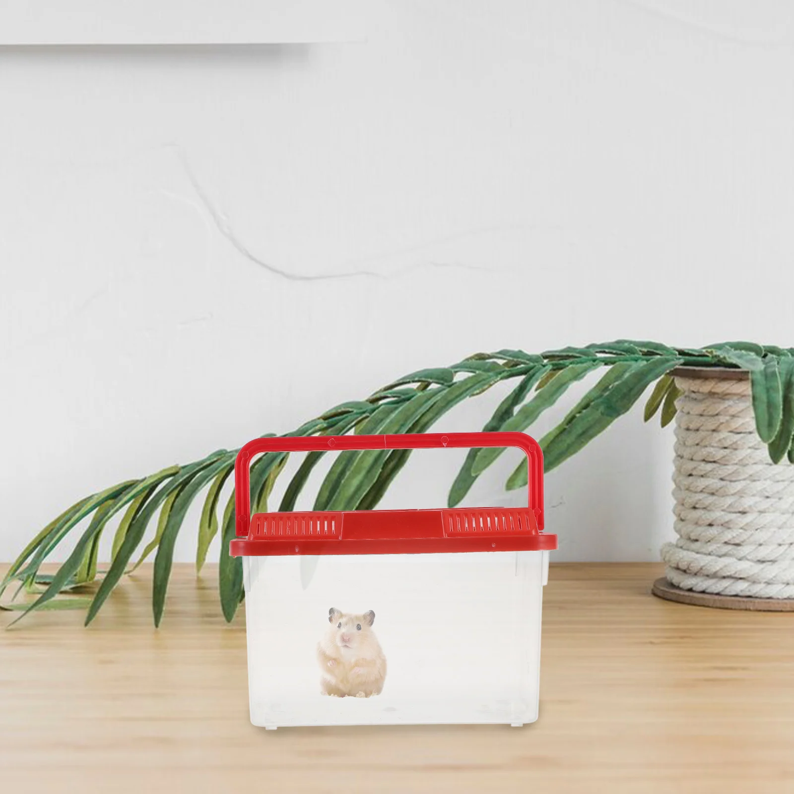 Pet Transport Box Aquarium Container Critter Keeper Small Animal Carrier Travel Fish Tank Reptile Carrier Hydroponic
Pet Transport Box Aquarium Container Critter Keeper Small Animal Carrier Travel Fish Tank Reptile Carrier Hydroponic