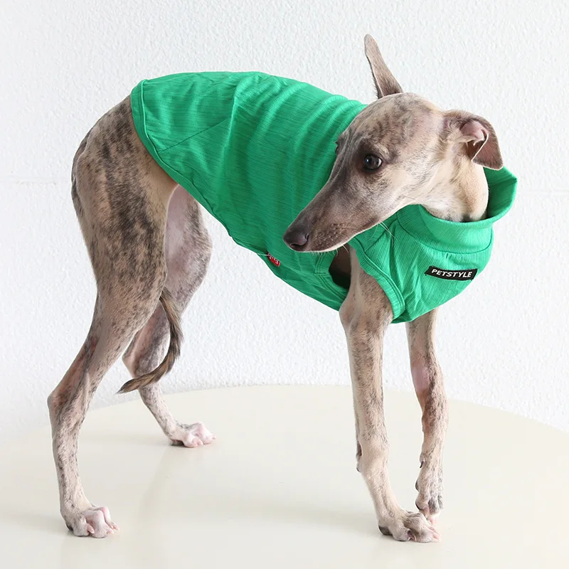 Mutihome 2026 Fashion Pet Dog Supplies Italian Little Lingti Huibit Dog Pet Clothes Solid Color Cotton Ribbed Vest Tops
Mutihome 2026 Fashion Pet Dog Supplies Italian Little Lingti Huibit Dog Pet Clothes Solid Color Cotton Ribbed Vest Tops