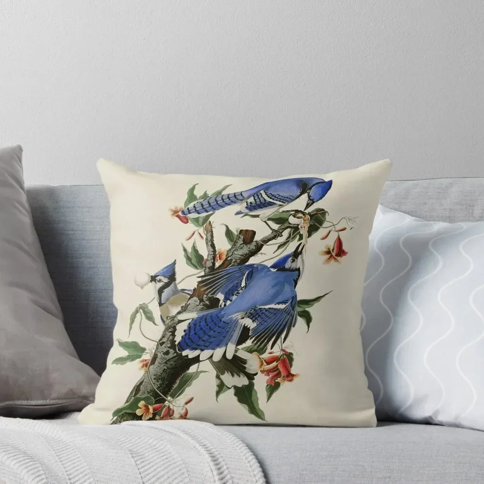 Blue Jay - John James Audubon Birds of America Throw Pillow anime girl Cushion Cover Set Sitting Cushion pillow
Blue Jay - John James Audubon Birds of America Throw Pillow anime girl Cushion Cover Set Sitting Cushion pillow
