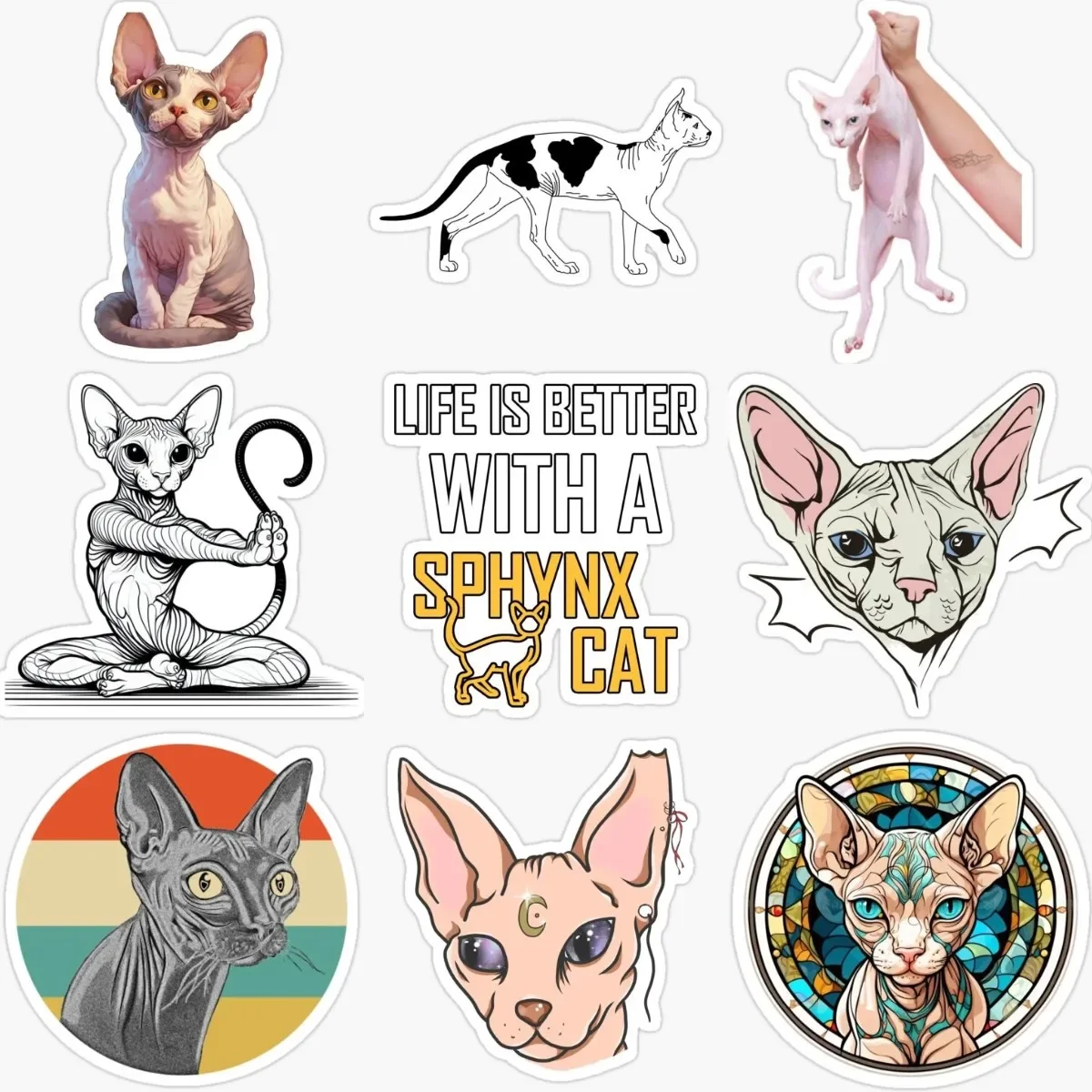 Canadian Hairless Cat Sphynx Cat Pets PVC Waterproof Stickers for Decorate Car Van Fridge Wall Window Helmet Bicycle Decal
Canadian Hairless Cat Sphynx Cat Pets PVC Waterproof Stickers for Decorate Car Van Fridge Wall Window Helmet Bicycle Decal