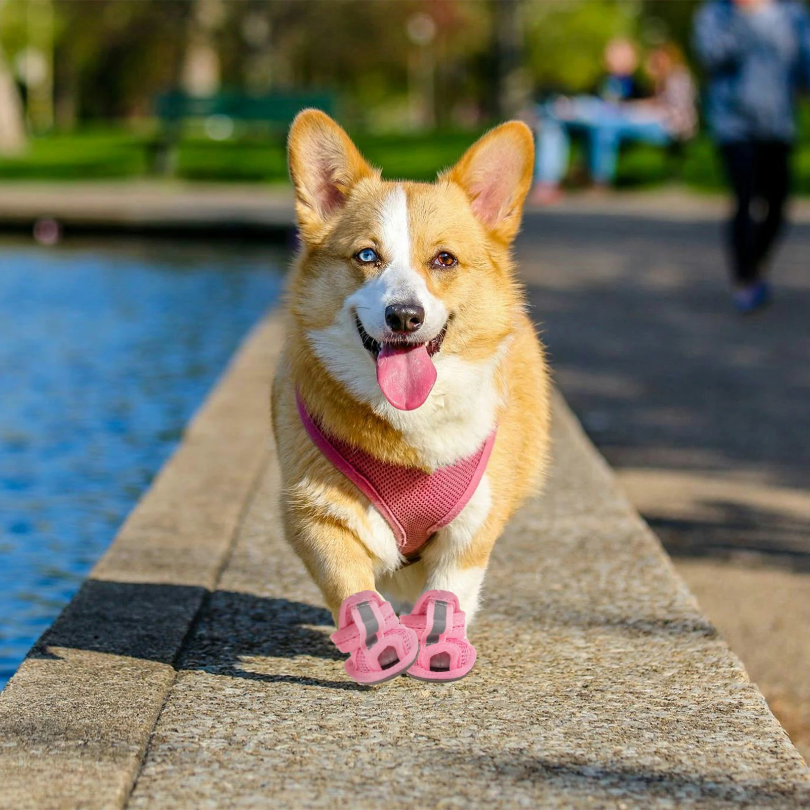 4 Pcs Dog Shoes Summer Pet Sandals Flexible Sole 5 Sizes Breathable Mesh Protect Paws Hot Pavement Easy Wash
4 Pcs Dog Shoes Summer Pet Sandals Flexible Sole 5 Sizes Breathable Mesh Protect Paws Hot Pavement Easy Wash
