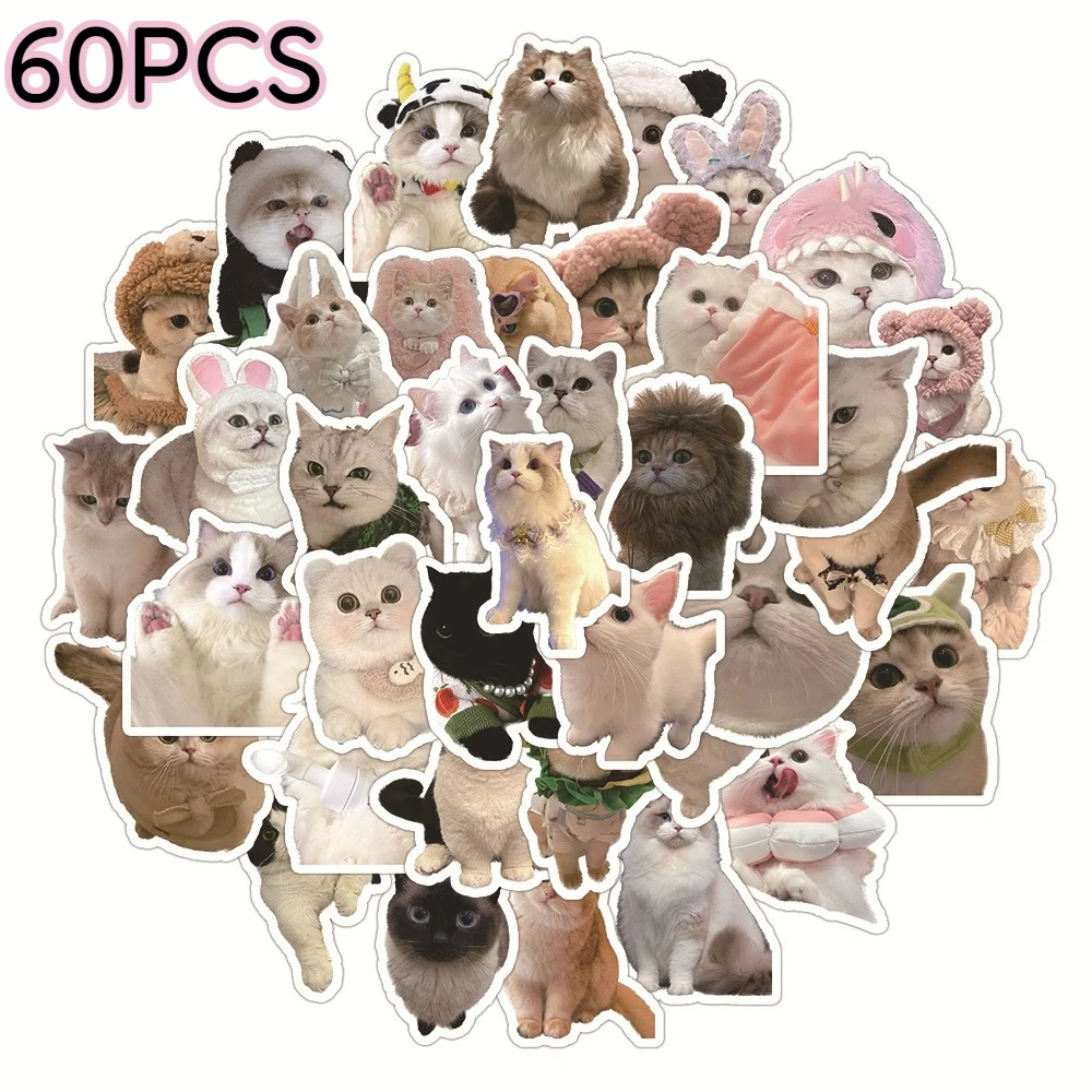 60 шт., не повторяющиеся наклейки с изображением кота-водостойкие милые декоративные наклейки для чехлов для телефонов «сделай сам», дневники и тетради
60 шт., не повторяющиеся наклейки с изображением кота-водостойкие милые декоративные наклейки для чехлов для телефонов «сделай сам», дневники и тетради