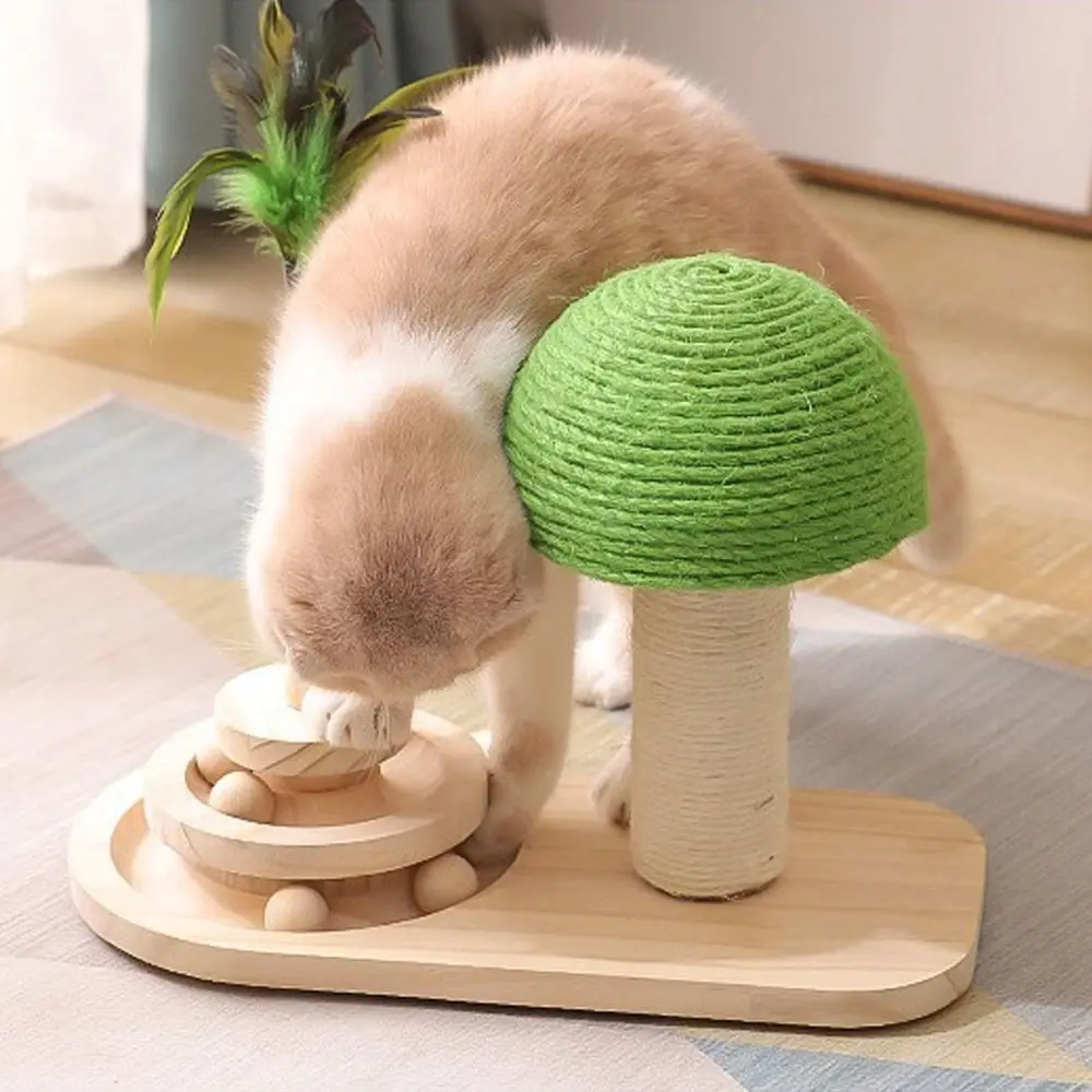 Funny Cat Scratching Post Sisal Ball Durable with Feathers Pet Climb Toy Wear-resistant Cat Scratching Board Cat Supplies
Funny Cat Scratching Post Sisal Ball Durable with Feathers Pet Climb Toy Wear-resistant Cat Scratching Board Cat Supplies
