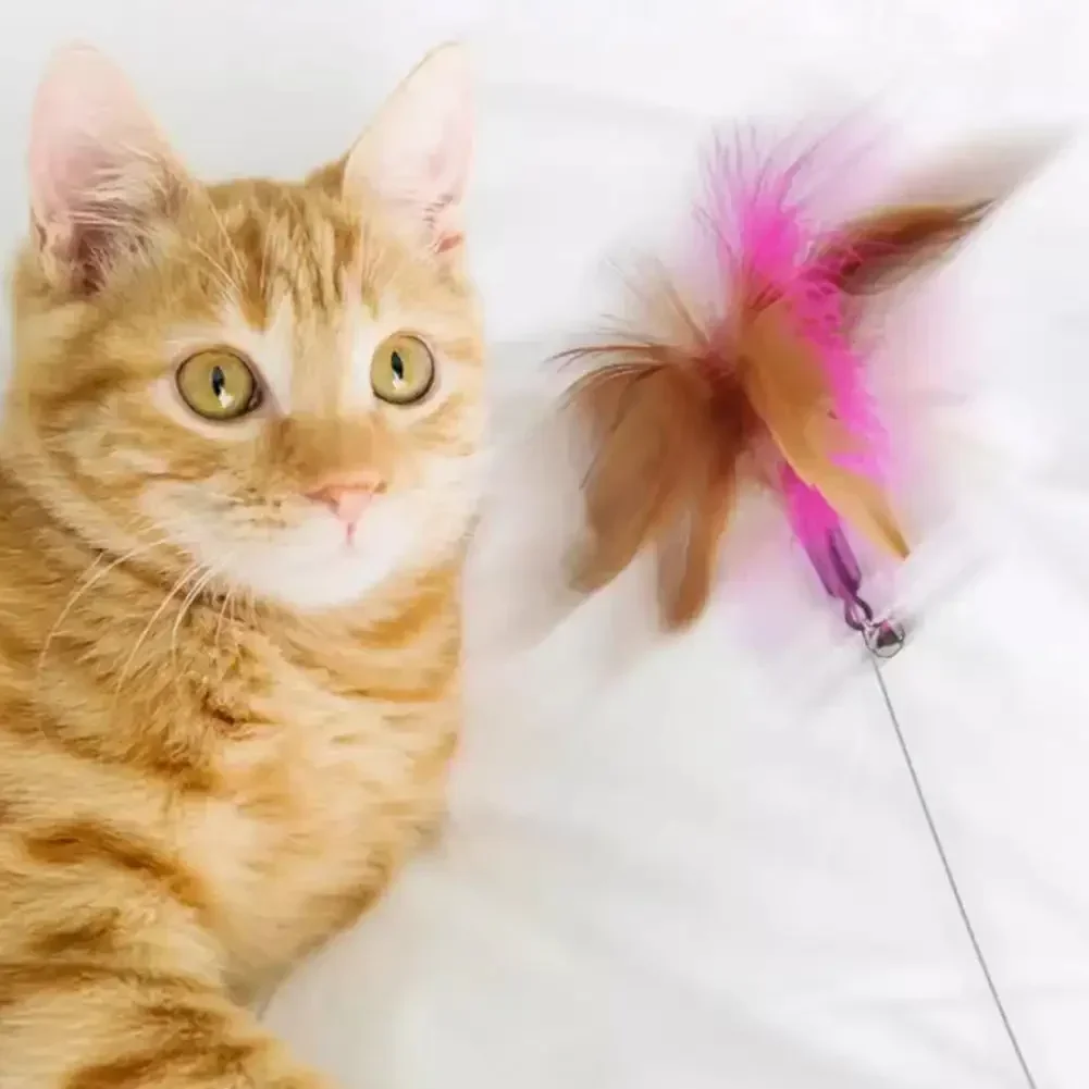 Interactive Cat Toys Funny Feather Teaser Stick with Bell Pets Collar Kitten Playing Teaser Wand Training Toys for Cats Supplies
Interactive Cat Toys Funny Feather Teaser Stick with Bell Pets Collar Kitten Playing Teaser Wand Training Toys for Cats Supplies