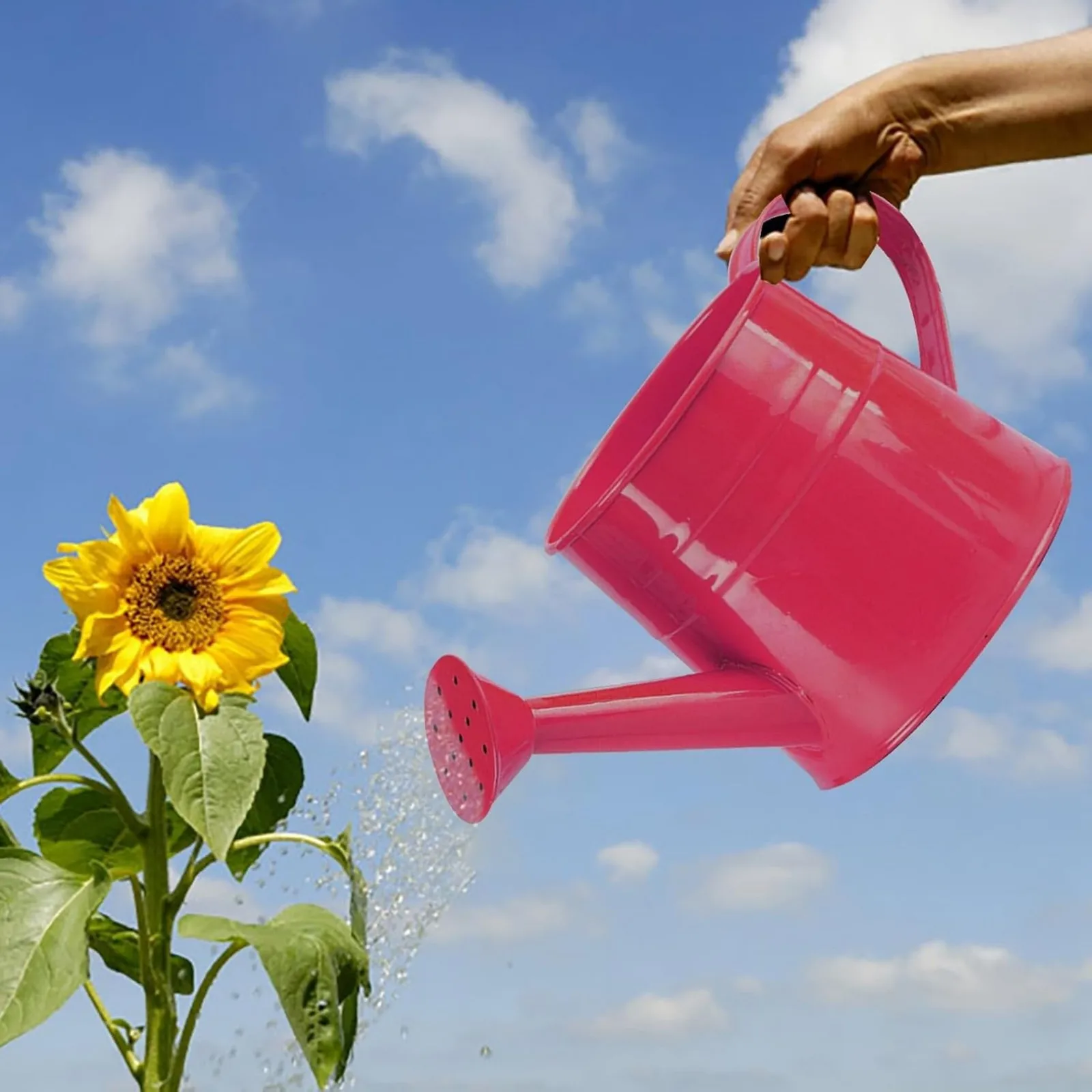 Metal Iron Sprinkler Kettle Candy Colored Plant Watering Can Garden Watering Can For Indoor & Outdoor Plant Gardening Tools
Metal Iron Sprinkler Kettle Candy Colored Plant Watering Can Garden Watering Can For Indoor & Outdoor Plant Gardening Tools
