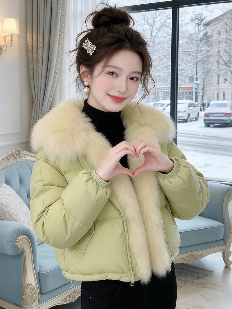 Корейская утепленная теплая пуховая куртка из хлопка для женщин, новая зимняя уникальная короткая хлопковая куртка-пальто, верхняя одежда
Корейская утепленная теплая пуховая куртка из хлопка для женщин, новая зимняя уникальная короткая хлопковая куртка-пальто, верхняя одежда