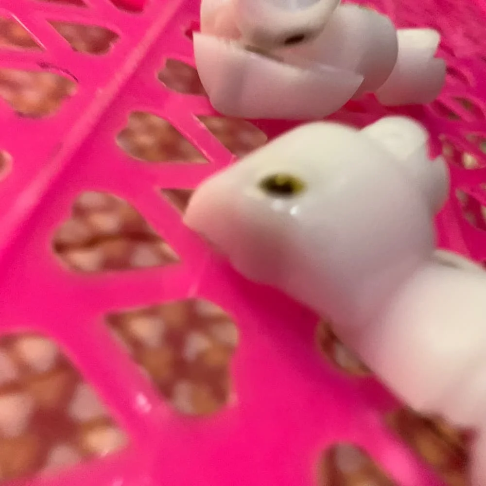 10 шт. вал патрона B247-3345 для Ricoh Aficio 1060 1075 2051 2060 2075 6000 7000 8000 6001 7001 8001 5500 6500 7500 6002
10 шт. вал патрона B247-3345 для Ricoh Aficio 1060 1075 2051 2060 2075 6000 7000 8000 6001 7001 8001 5500 6500 7500 6002