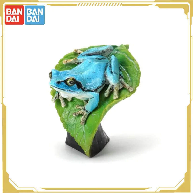 Bandai Original Gashapon Biological Atlas Batrachians Tree Frog Giant Salamander Action Figure Toys for Boys Girls Kids Gift
Bandai Original Gashapon Biological Atlas Batrachians Tree Frog Giant Salamander Action Figure Toys for Boys Girls Kids Gift