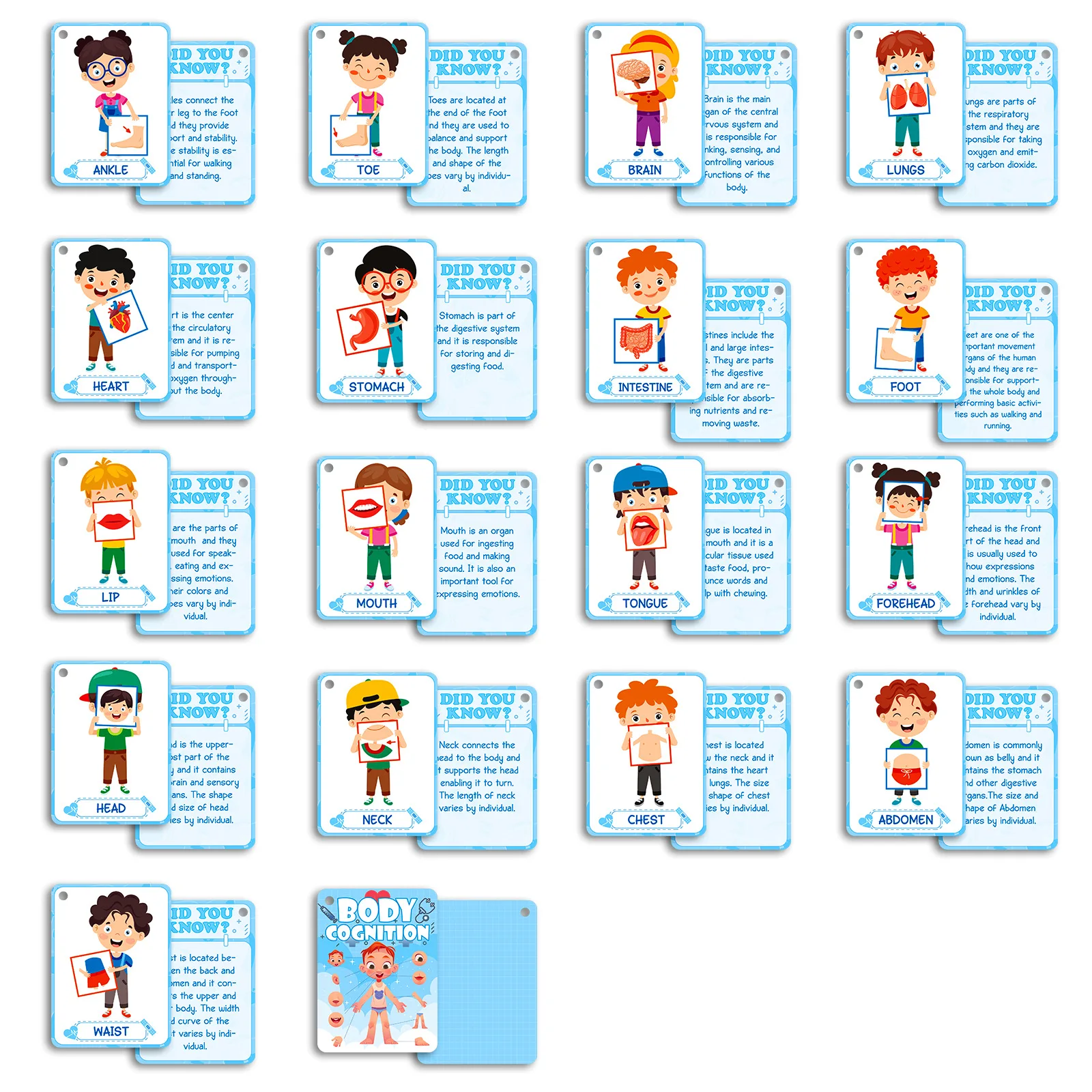 Bview Art 36Pcs Body Awareness Baby Cognitive Flash Cards Children Early Education Toys Montessori Learning Cards
Bview Art 36Pcs Body Awareness Baby Cognitive Flash Cards Children Early Education Toys Montessori Learning Cards