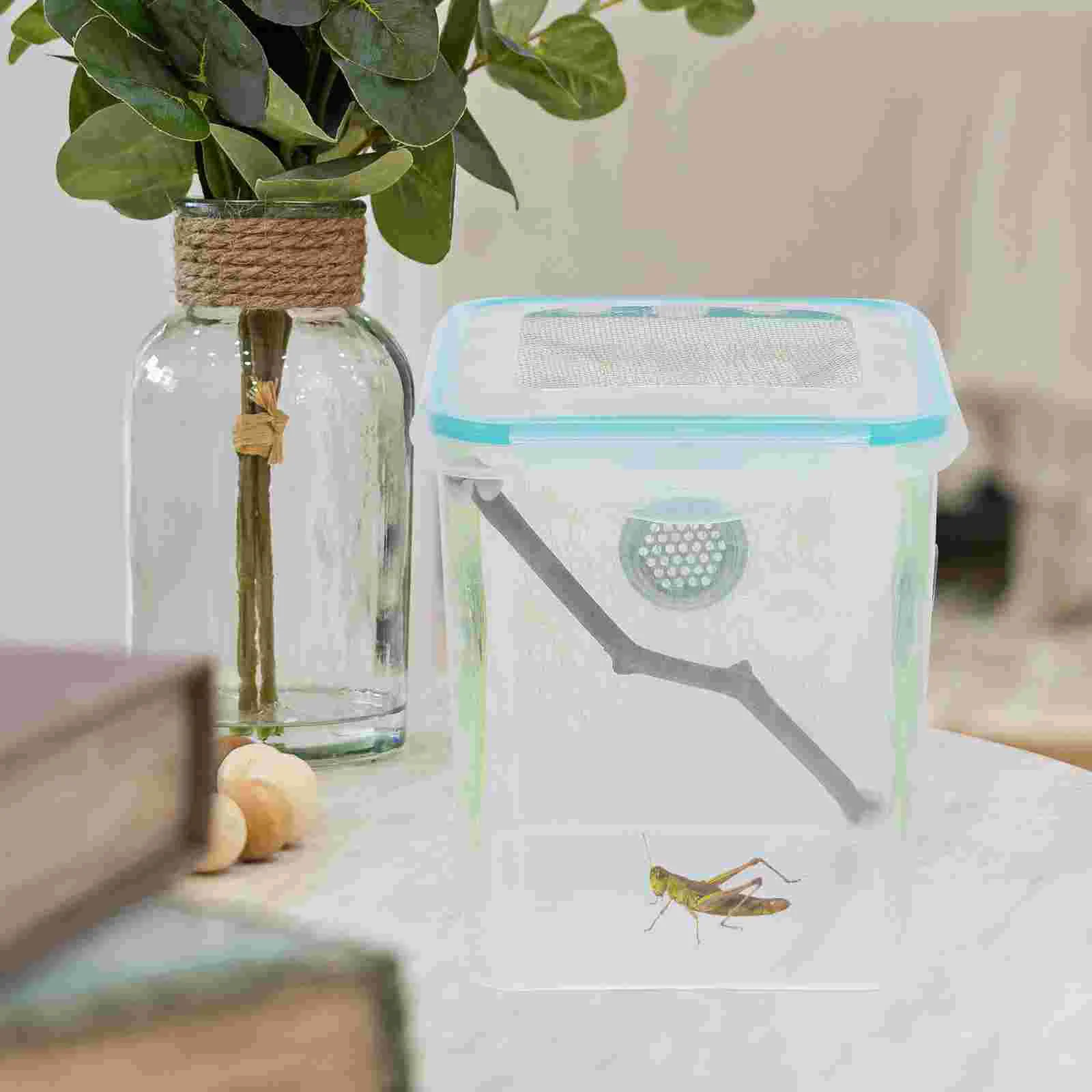 Reptile Feeding Box Insect Feeding Box Portable Habitat Terrarium Reptile Breeding Case Reptile Terrarium Box Mantis Feeding
Reptile Feeding Box Insect Feeding Box Portable Habitat Terrarium Reptile Breeding Case Reptile Terrarium Box Mantis Feeding