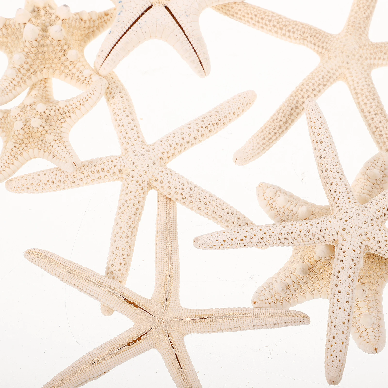 8 Pcs Decorations Natural DIY Crafting Vase Filler Mini Aquarium Fish Tank Drift Bottle Decorative Sea Star
8 Pcs Decorations Natural DIY Crafting Vase Filler Mini Aquarium Fish Tank Drift Bottle Decorative Sea Star