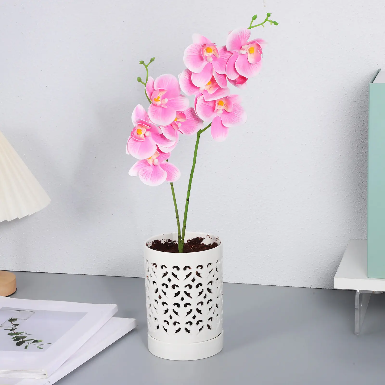 Полый керамический горшок для орхидей с несколькими дренажными отверстиями, простой в уходе, для здорового роста корней, малый размер
Полый керамический горшок для орхидей с несколькими дренажными отверстиями, простой в уходе, для здорового роста корней, малый размер