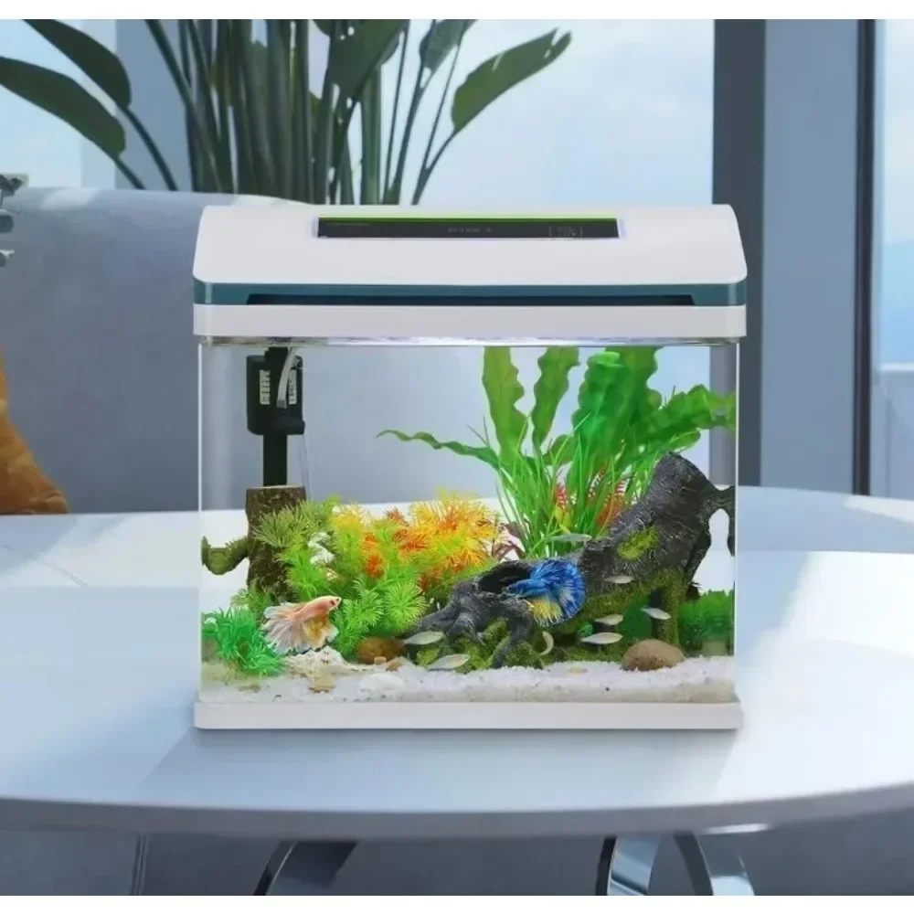 Betta Fish Tank Glass 5 Gallon Self Cleaning Small Aquarium Starter Kits Desktop Room Decor w/LED Light & Filters Water Pump
Betta Fish Tank Glass 5 Gallon Self Cleaning Small Aquarium Starter Kits Desktop Room Decor w/LED Light & Filters Water Pump