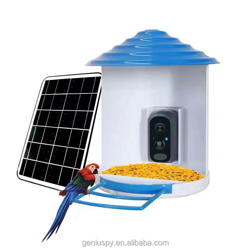 Pir Low Power Solar Battery Wireless 4G Lte Sim Card Bird Feeders House With WiFi Bird Camera 1080P For Outdoor Bird Watching
Pir Low Power Solar Battery Wireless 4G Lte Sim Card Bird Feeders House With WiFi Bird Camera 1080P For Outdoor Bird Watching