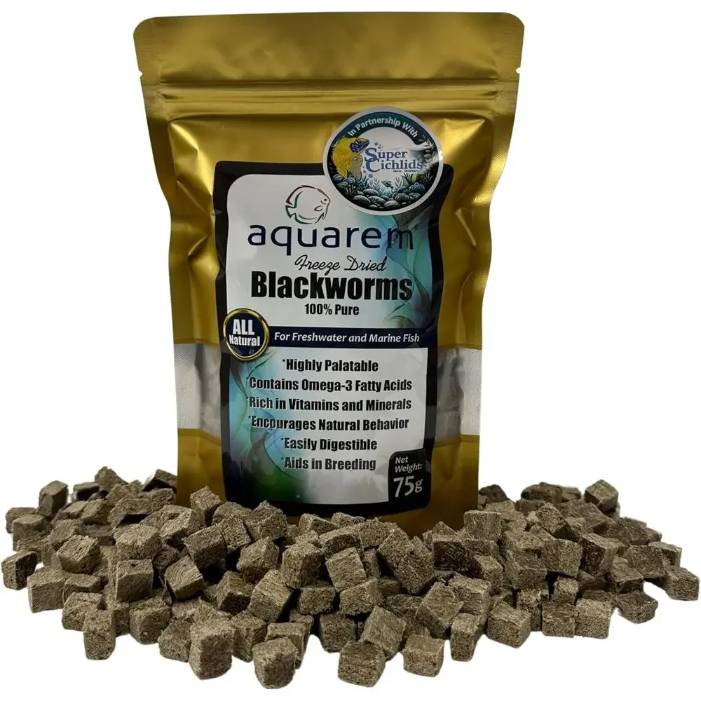All-Natural Dried Blackworms - High Protein, No Preservatives - Ideal for Marine & Tropical Fish (75g)
All-Natural Dried Blackworms - High Protein, No Preservatives - Ideal for Marine & Tropical Fish (75g)