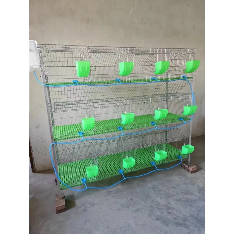 Оборудование для разведения кроликов, ящик с гнездом, оцинкованная клетка для кроликов для фермы или домашнего использования, клетка для кроликов
Оборудование для разведения кроликов, ящик с гнездом, оцинкованная клетка для кроликов для фермы или домашнего использования, клетка для кроликов