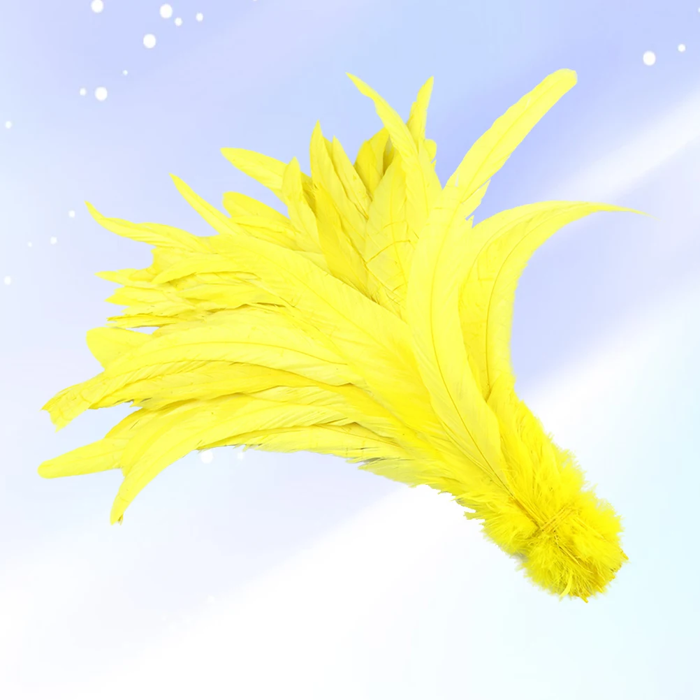 50 Pcs Rooster Light Luster Natural Decoration for Clothing Bags Hats DIY Craft Material Waterproof Premium Quality
50 Pcs Rooster Light Luster Natural Decoration for Clothing Bags Hats DIY Craft Material Waterproof Premium Quality