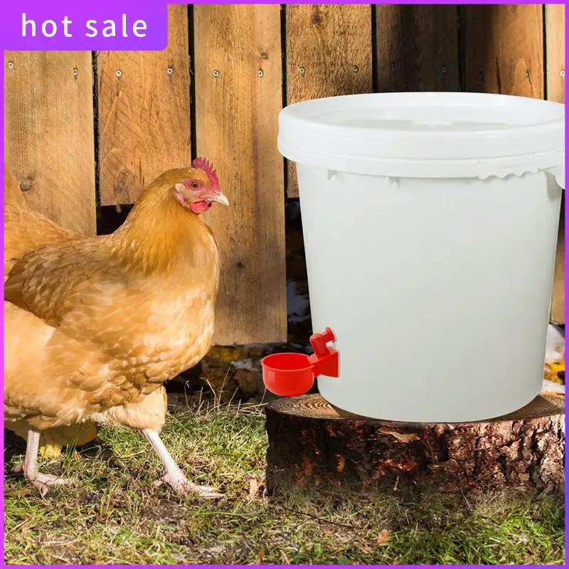 A26I-DIY Chicken Water Feeder For Poultry Automatic Chicken Water Cups Gravity Filling Poultry Waterer With Hole Saw(24 Pack)
A26I-DIY Chicken Water Feeder For Poultry Automatic Chicken Water Cups Gravity Filling Poultry Waterer With Hole Saw(24 Pack)