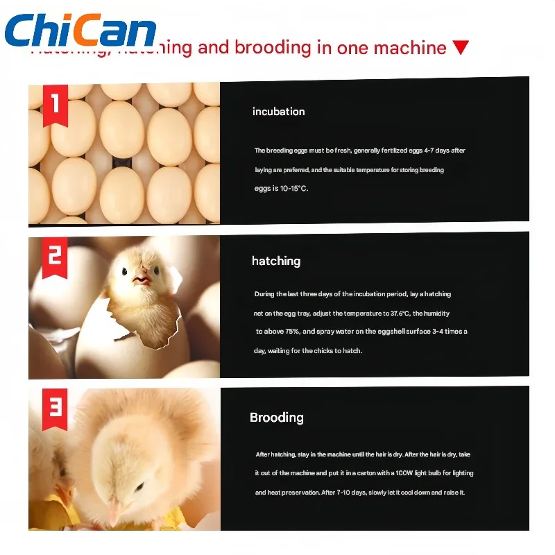 【Hot】New Dual Power Solar Egg Incubator Hatcher 204 Egg Capacity For Chicken Duck Turkey Ostrich By New Egg Incubator
【Hot】New Dual Power Solar Egg Incubator Hatcher 204 Egg Capacity For Chicken Duck Turkey Ostrich By New Egg Incubator