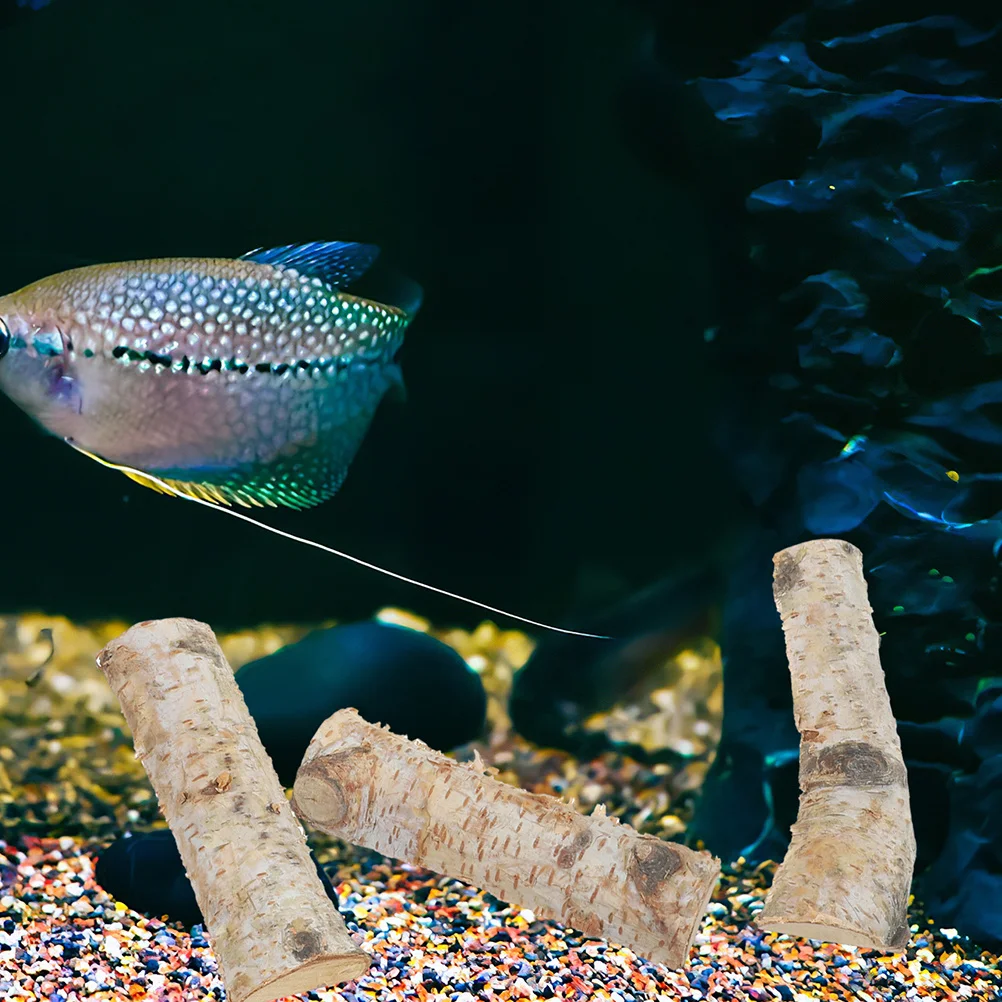 Natural Wood Fish Tank Decor Lifelike Aquarium Adornment Beautiful Living Space 120g Fish Tank Decor Wood for Aquarium 
Natural Wood Fish Tank Decor Lifelike Aquarium Adornment Beautiful Living Space 120g Fish Tank Decor Wood for Aquarium