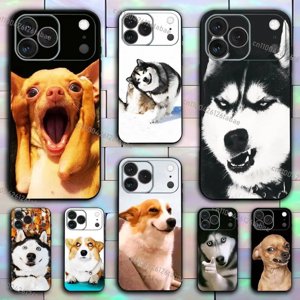 Funny Animal Dog Phone Case For iPhone 17,16,e,Pro,Max,15,14,Plus,13,12,Mini,11,Pro Shockproof Silicone Black Cover
Funny Animal Dog Phone Case For iPhone 17,16,e,Pro,Max,15,14,Plus,13,12,Mini,11,Pro Shockproof Silicone Black Cover