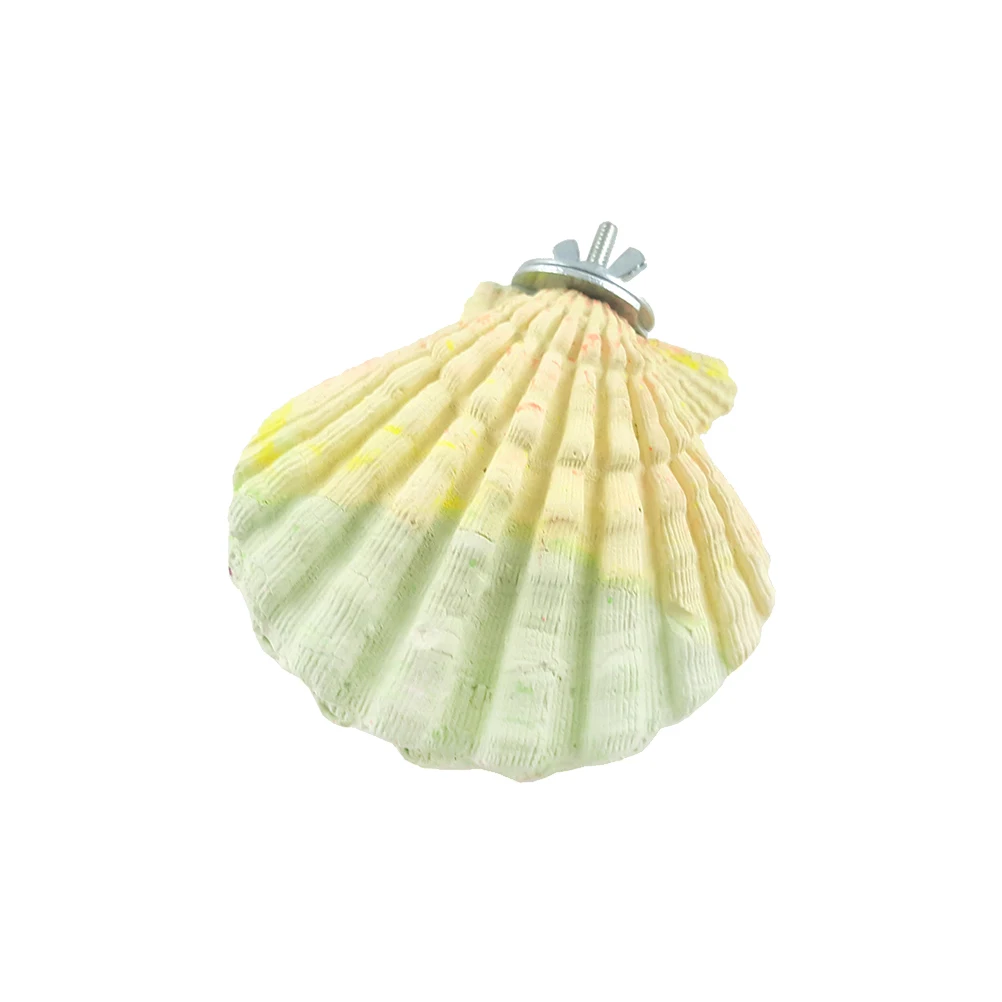 2pcs Molar Natural Pet Teeth Grinding Shell Calcium for Parrots Hamsters Guinea Pigs Small Animals Durable Healthy Chewing Toy
2pcs Molar Natural Pet Teeth Grinding Shell Calcium for Parrots Hamsters Guinea Pigs Small Animals Durable Healthy Chewing Toy