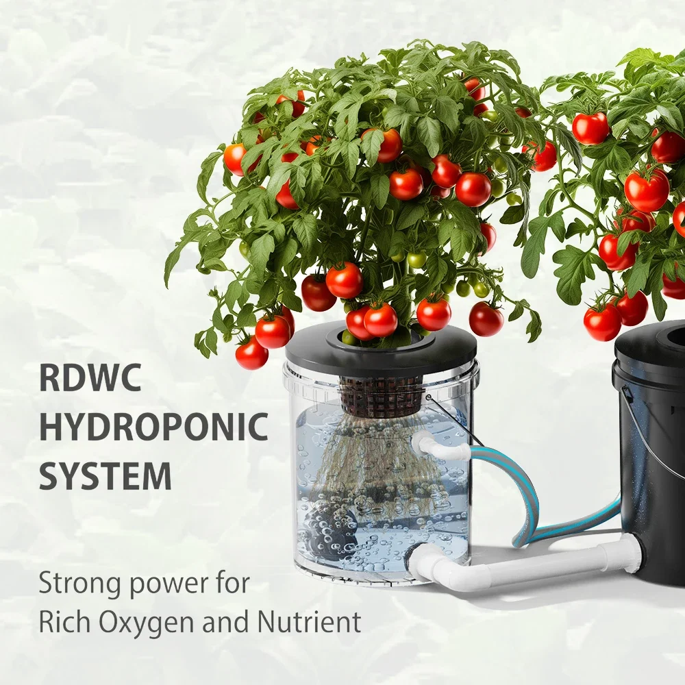 Net Pot Drip Irrigation Farm Vertical Type-new Condition Nft Dutch Bucket Greenhouse Hydroponics Dutch Bucket With Lid
Net Pot Drip Irrigation Farm Vertical Type-new Condition Nft Dutch Bucket Greenhouse Hydroponics Dutch Bucket With Lid