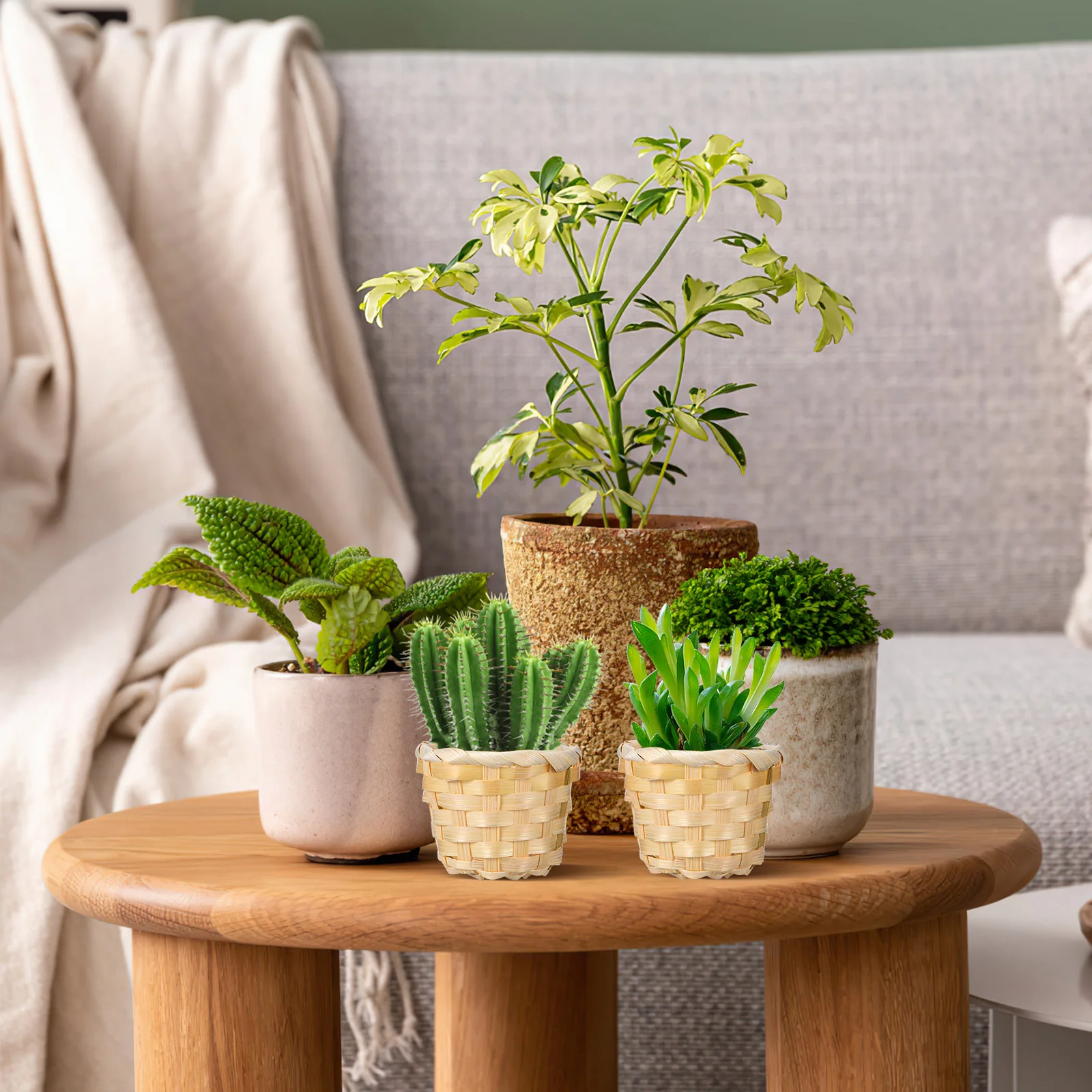 6pcs Exquisite Desktop Storage Basket Woven Wood Organizer Home Sundries Holder Small Basket Multi-Function Container
6pcs Exquisite Desktop Storage Basket Woven Wood Organizer Home Sundries Holder Small Basket Multi-Function Container