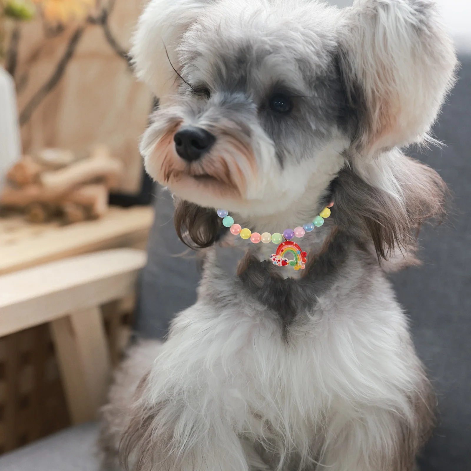 Colorful Beaded Pet Necklace Candy Color Adjustable Collar for Cats Dogs Lightweight Comfortable Jewelry for Daily Wear Special
Colorful Beaded Pet Necklace Candy Color Adjustable Collar for Cats Dogs Lightweight Comfortable Jewelry for Daily Wear Special