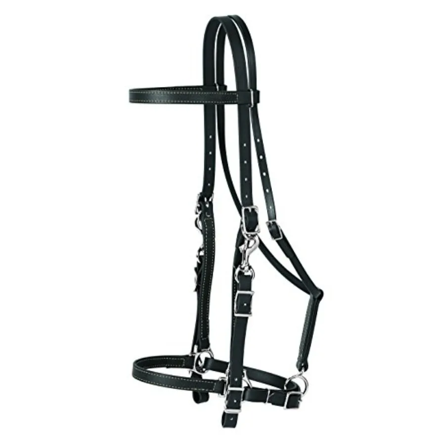Brahma Webb Halter Bridle for equestrian use genuine leather black adjustable fit with polished hardware
Brahma Webb Halter Bridle for equestrian use genuine leather black adjustable fit with polished hardware