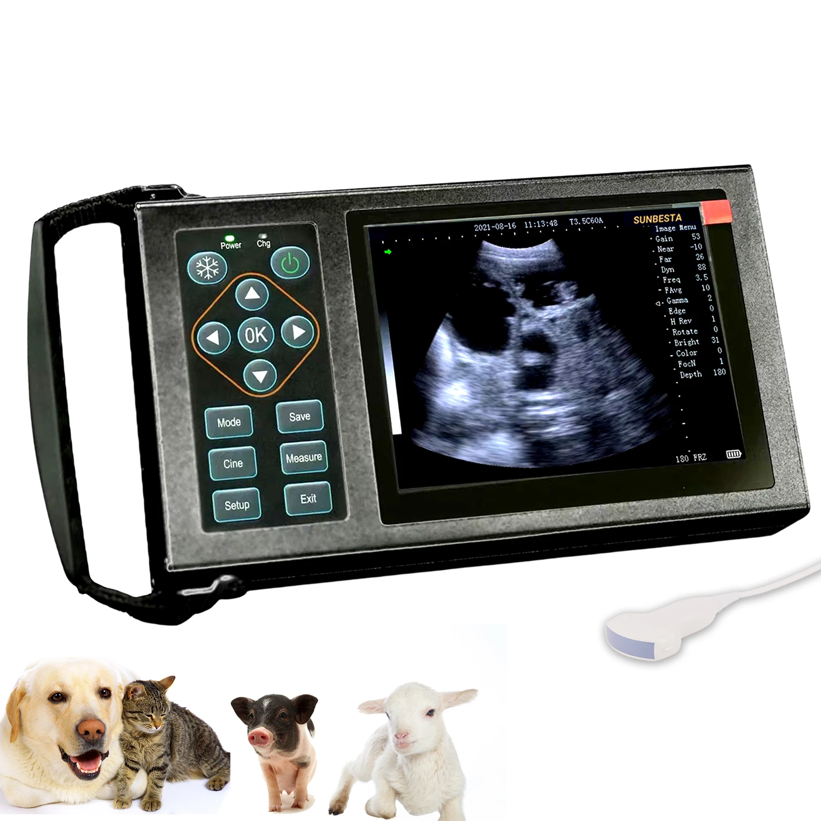 High Quality Handheld Veterinary Ultrasound Medical Device Equipment Hot Selling for Pet Owners
High Quality Handheld Veterinary Ultrasound Medical Device Equipment Hot Selling for Pet Owners