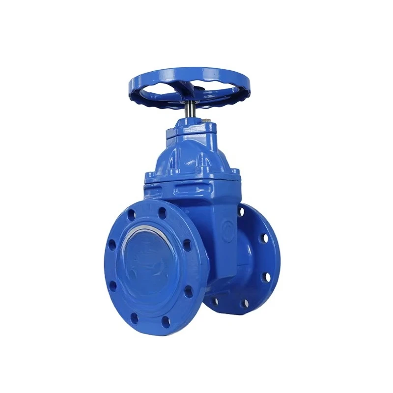 DN100 PN16 Flanged Non-rising Stem Ductile Iron Gate Valve
DN100 PN16 Flanged Non-rising Stem Ductile Iron Gate Valve