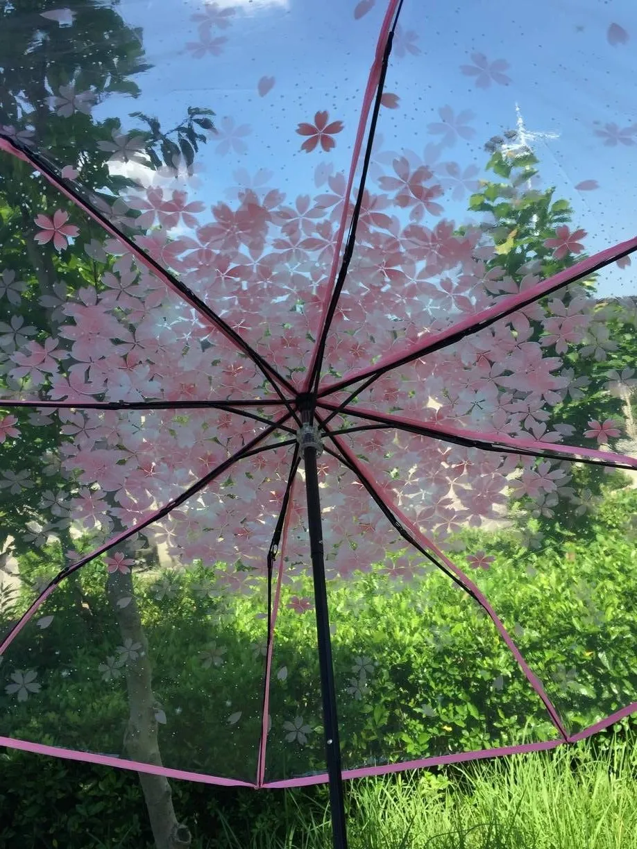 Fashion Anti-UV Sun/Rain Umbrella Transparent Clear Umbrella Cherry BlossomFold Umbrella Rain Gear sombrillas
Fashion Anti-UV Sun/Rain Umbrella Transparent Clear Umbrella Cherry BlossomFold Umbrella Rain Gear sombrillas