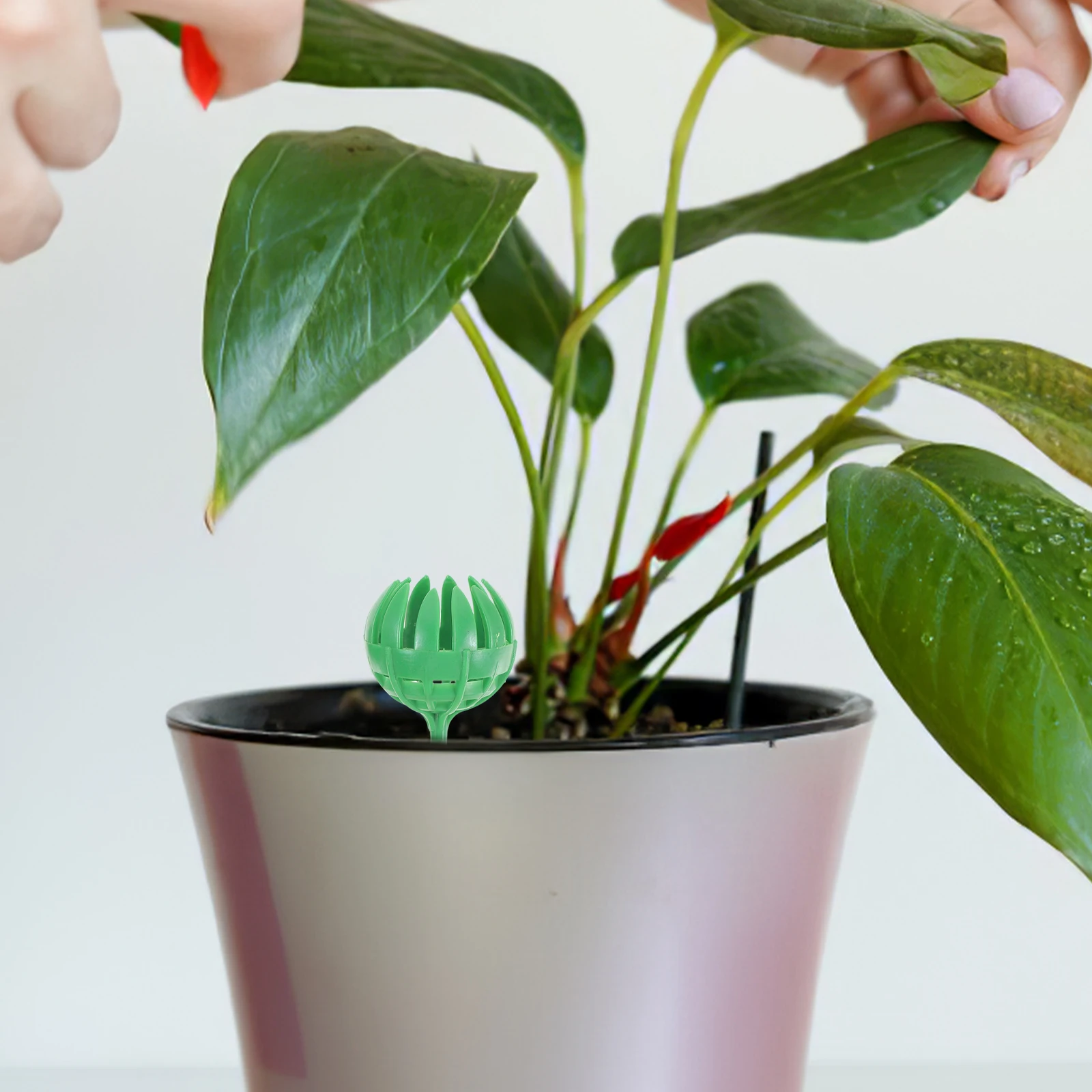 30pcs Fertilizer Box Mini Planting Baskets Large Small Green Coffee Sizes Reusable Gardening Tools Potting Plants Slow Release
30pcs Fertilizer Box Mini Planting Baskets Large Small Green Coffee Sizes Reusable Gardening Tools Potting Plants Slow Release
