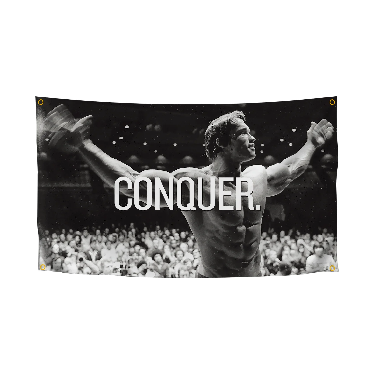 Conquer Flag - Arnold Inspired Hilarious Banner with Durable Grommets - Perfect for College Dorms, Frats, Man Caves & Parties, 3
Conquer Flag - Arnold Inspired Hilarious Banner with Durable Grommets - Perfect for College Dorms, Frats, Man Caves & Parties, 3