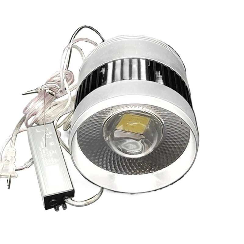 Aquatic lamp downlight full spectrum LED fish tank lamp downlight moss lamp aquarium fish tank lighting plants
Aquatic lamp downlight full spectrum LED fish tank lamp downlight moss lamp aquarium fish tank lighting plants
