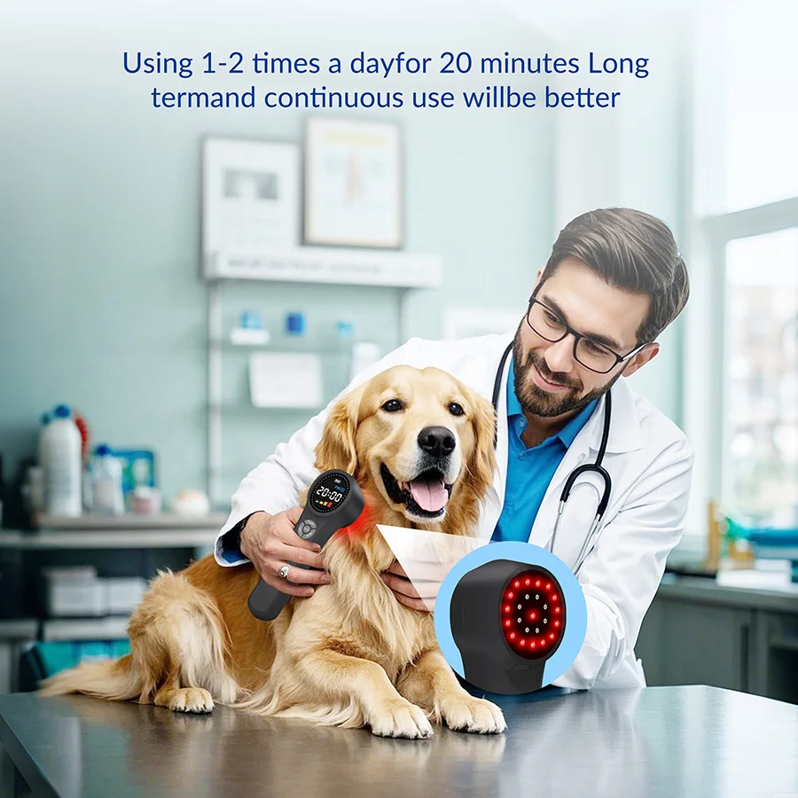 2026 Veterinary Laser Therapy Device for Clinic Use Professional Cold Laser for Dogs Horses Equine Rehabilitation 980nm 810nm 66
2026 Veterinary Laser Therapy Device for Clinic Use Professional Cold Laser for Dogs Horses Equine Rehabilitation 980nm 810nm 66