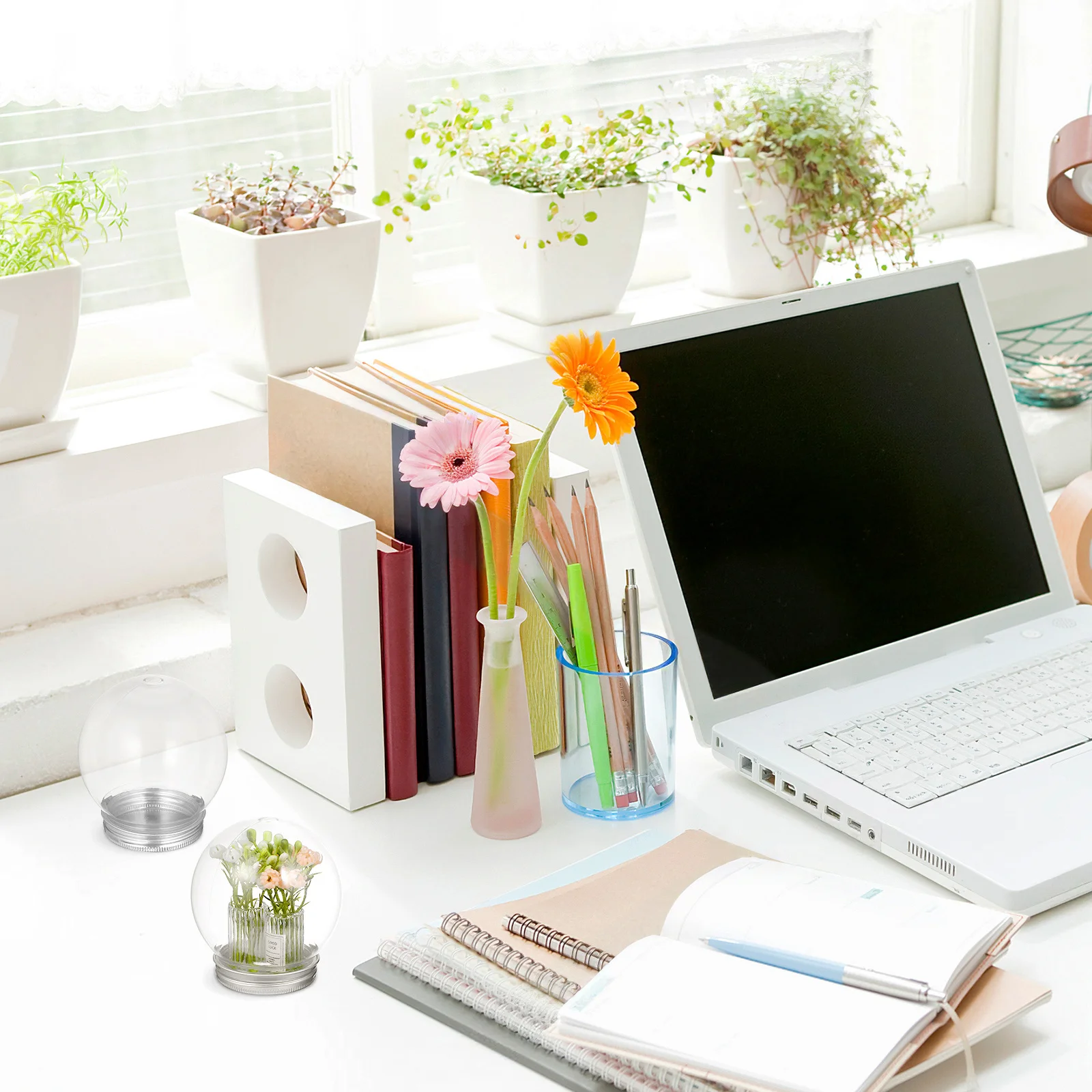 12Pcs Clear Globe Containers DIY Snow Globes Kits Small Plastic Water Globes Bulk for Unique Designs and Events
12Pcs Clear Globe Containers DIY Snow Globes Kits Small Plastic Water Globes Bulk for Unique Designs and Events