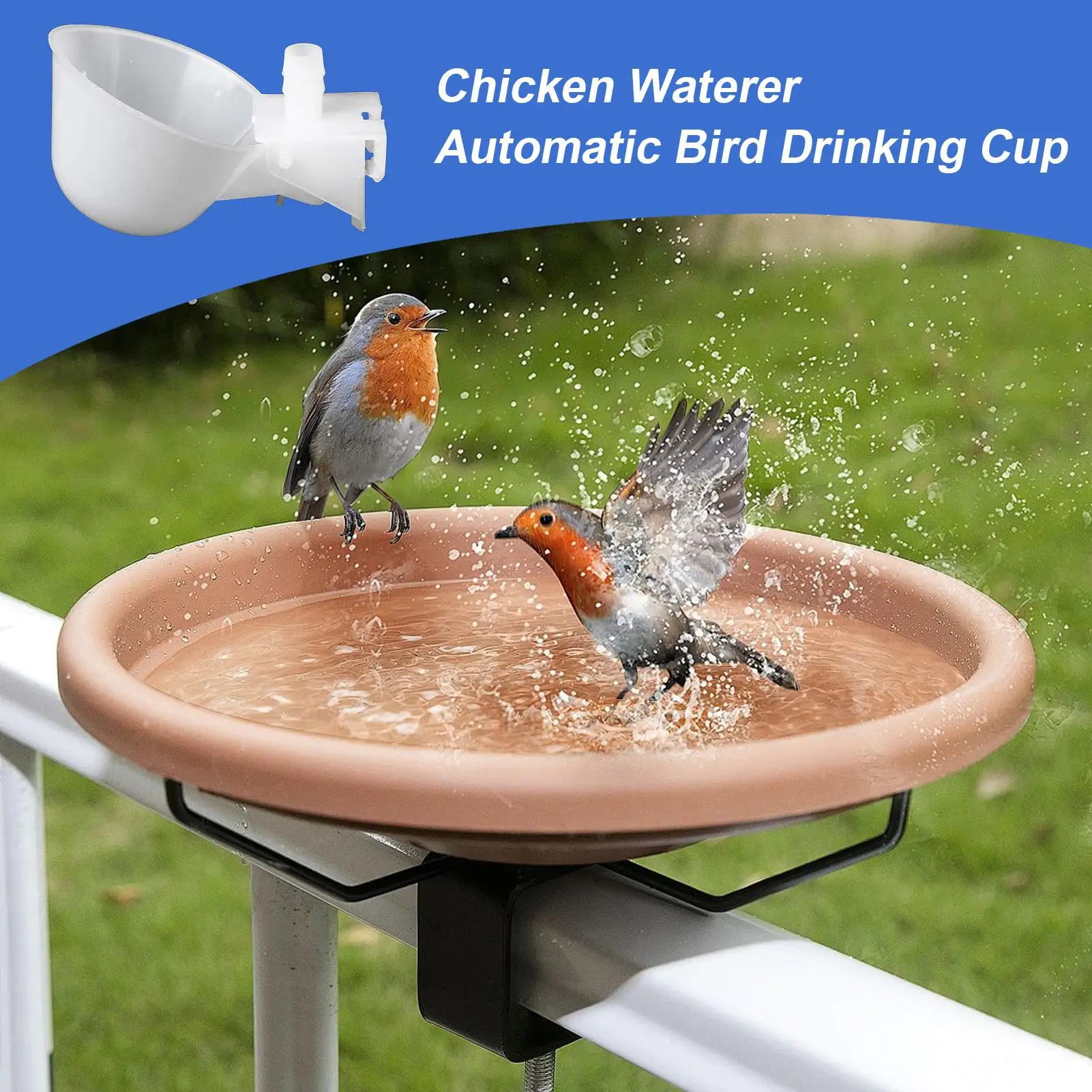 Chicken Water Cups Anti-Leak Feeding Bowl 10 Pieces Cage Mount Chicken Drinking Cups For Chicks Ducklings Goslings Household
Chicken Water Cups Anti-Leak Feeding Bowl 10 Pieces Cage Mount Chicken Drinking Cups For Chicks Ducklings Goslings Household