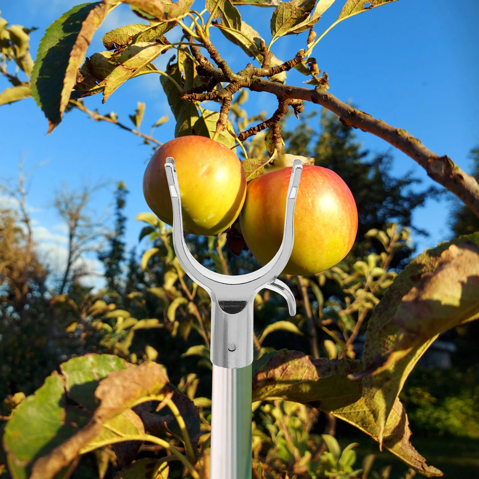 6pcs Branch Support Fork Metal Tree Straightener Silver Fixator Plant Supports Gardening Tools Fruit Tree Supplies Durable
6pcs Branch Support Fork Metal Tree Straightener Silver Fixator Plant Supports Gardening Tools Fruit Tree Supplies Durable