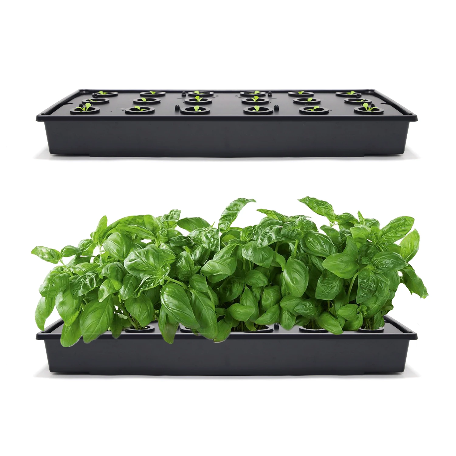 1020 Indoor Plant Hydroponic Seed Starter Herb Planter Tray Set for Commercial Nurseries and Seedling Propagation
1020 Indoor Plant Hydroponic Seed Starter Herb Planter Tray Set for Commercial Nurseries and Seedling Propagation